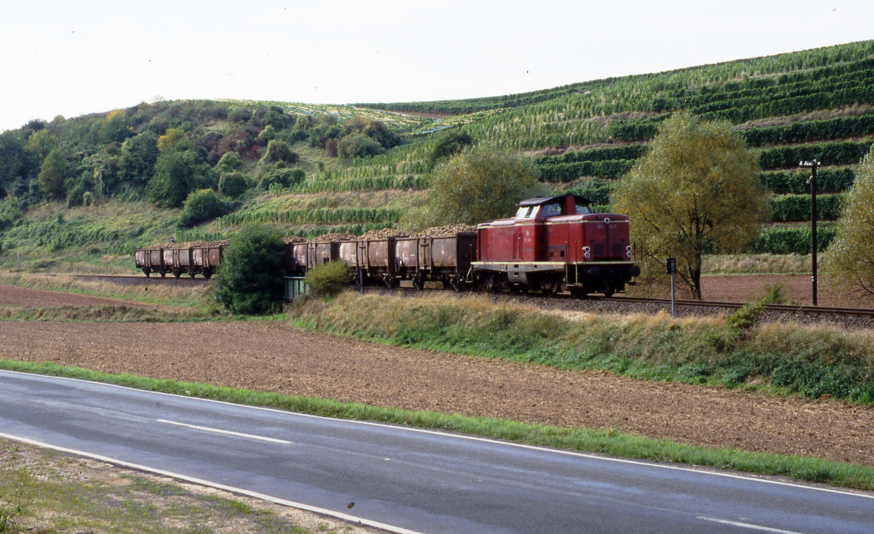 Rübenzüge bei Alzey