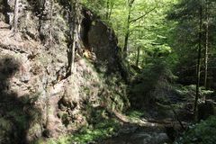 Rübezahlwald in der Ravennaschlucht