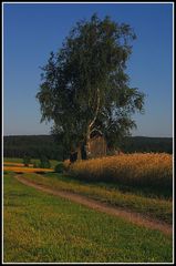 Rückansicht der Hütte