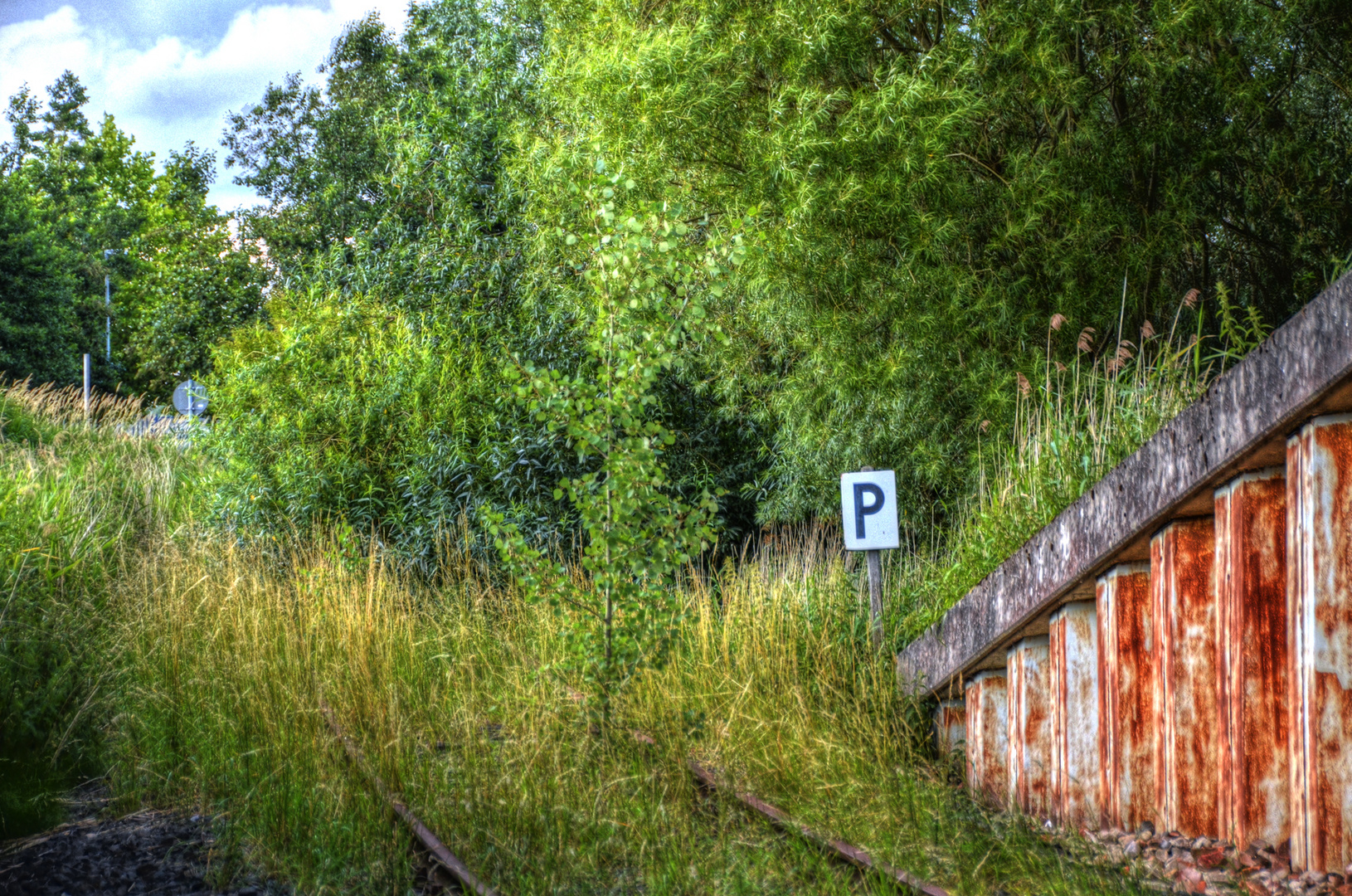 Rückbau durch die Natur