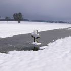 Rückbesinnung an den Winter