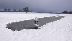 Rückbesinnung an den Winter