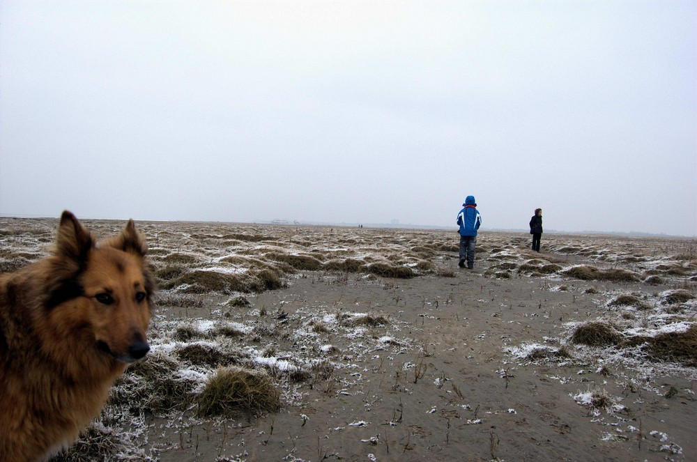 Rückblick '08