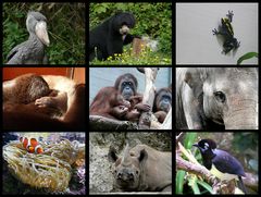 Rückblick 2009 - 6 # Zoo Zürich