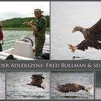 Rückblick 2009 - Seeadler