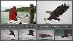 Rückblick 2009 - Seeadler