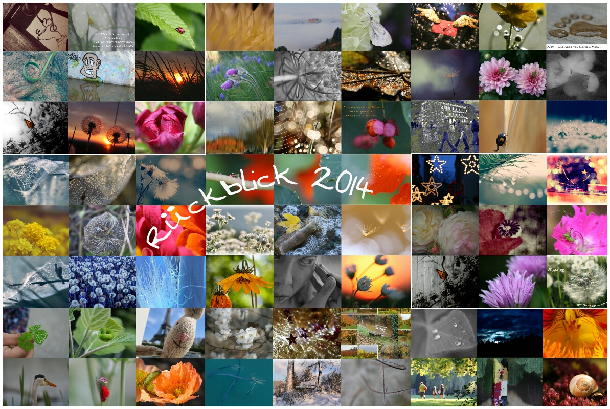 Rückblick 2014 Foto & Bild  das war 2014, jahresrückblick 