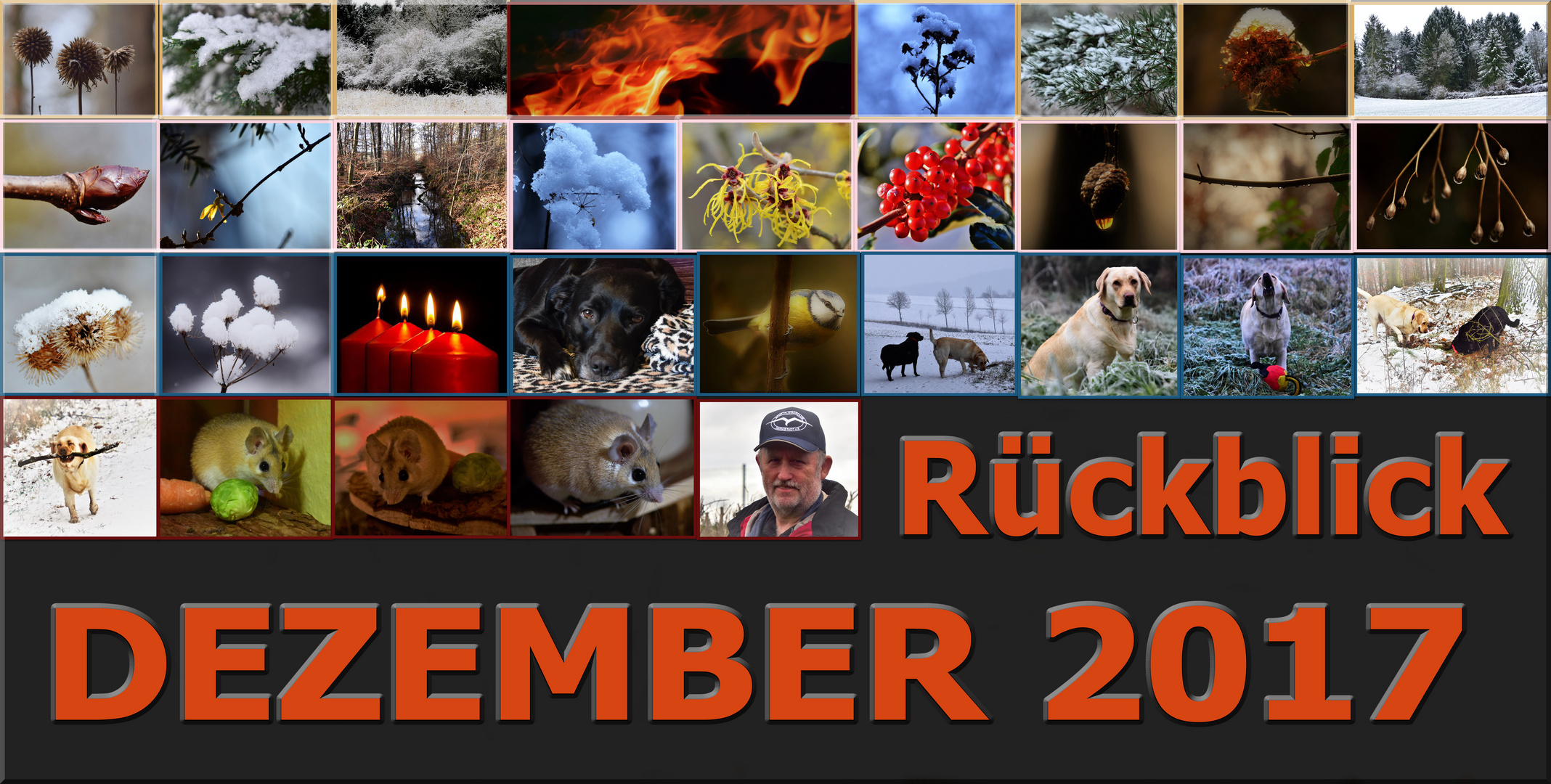 Rückblick 2017 Dezember Foto & Bild  karten und kalender, fotos im 