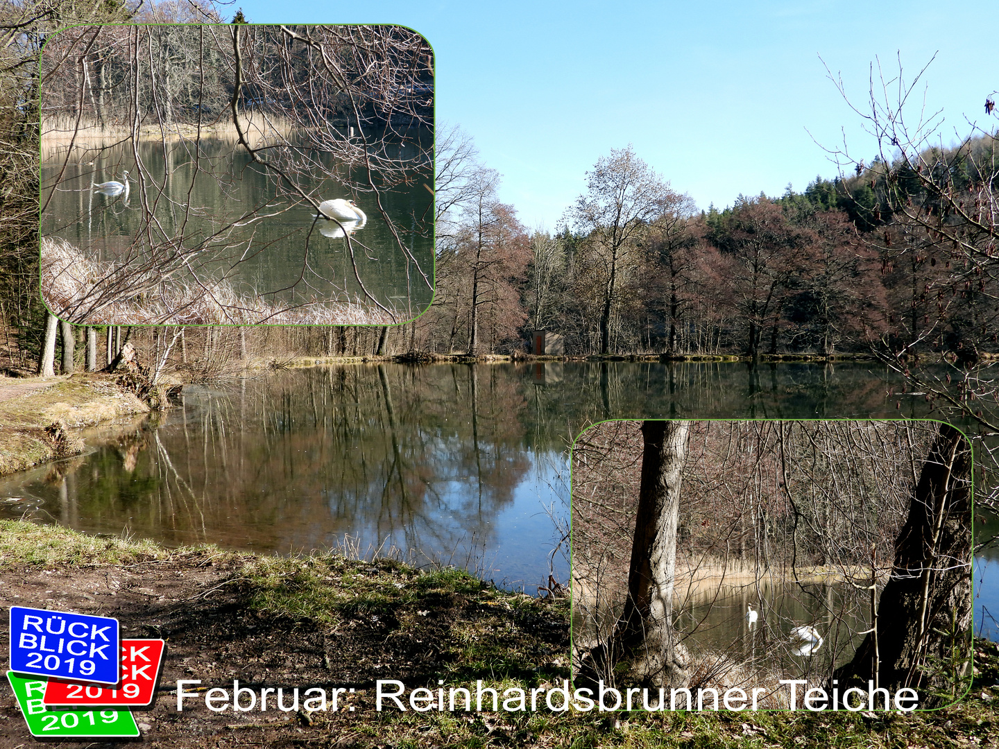 Rückblick 2019 - Februar