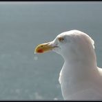 Rückblick ....