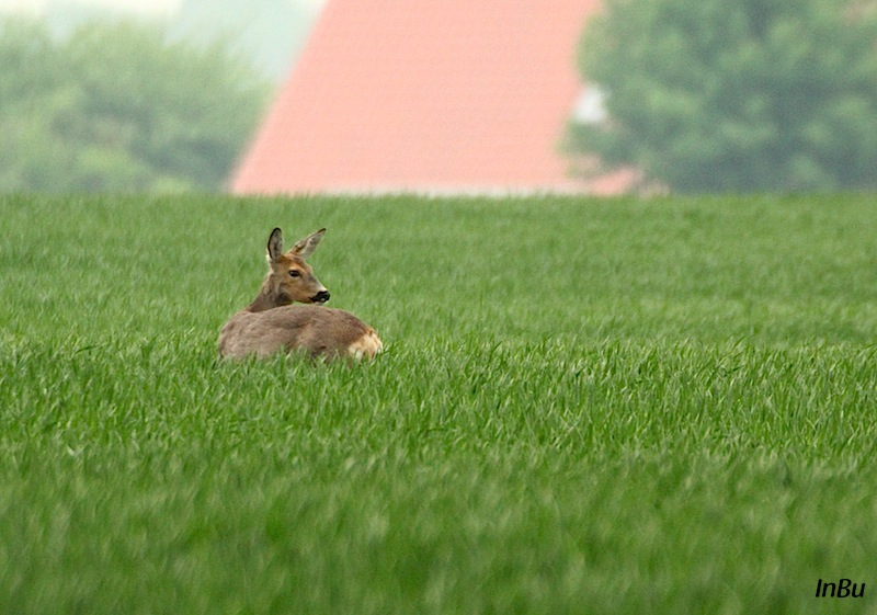 Rückblick