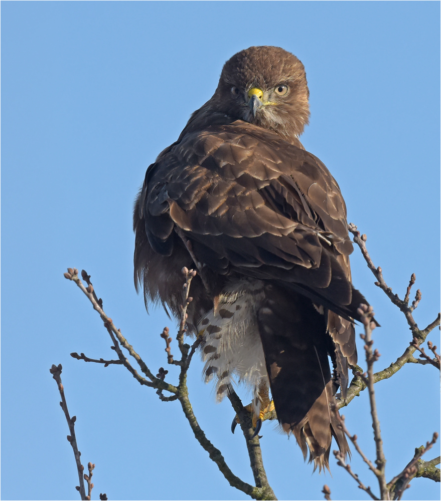 Rückblick