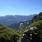 Rückblick auf dem Weg zum Hahnenkopf