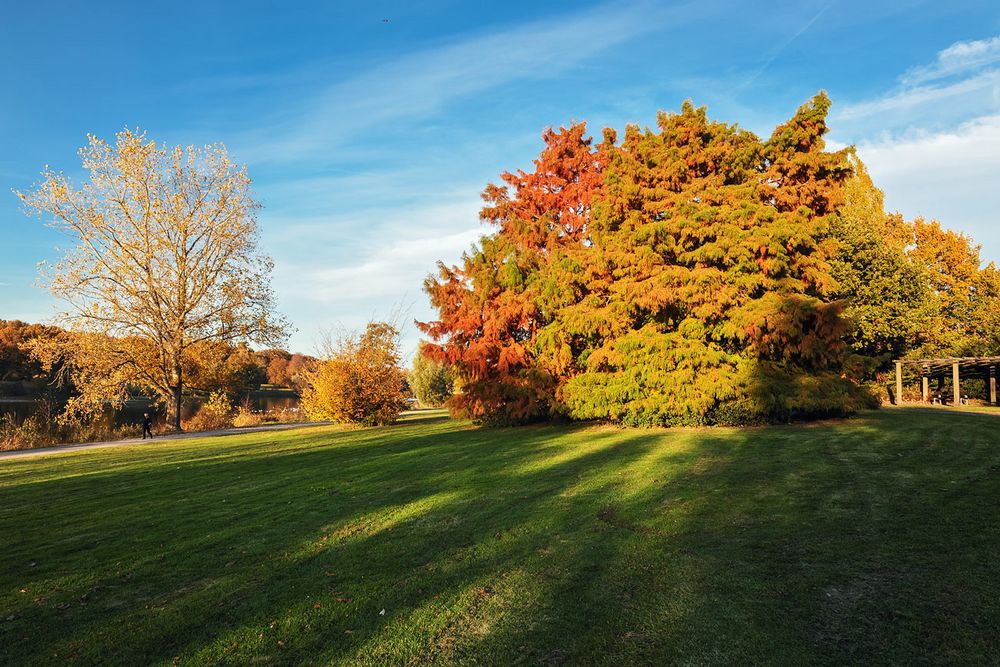 Rückblick auf den bunten Herbst