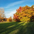 Rückblick auf den bunten Herbst