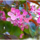 Rückblick auf den Frühling 2