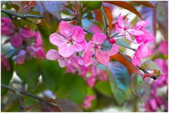 Rückblick auf den Frühling 2