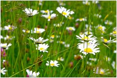 Rückblick auf den Frühling