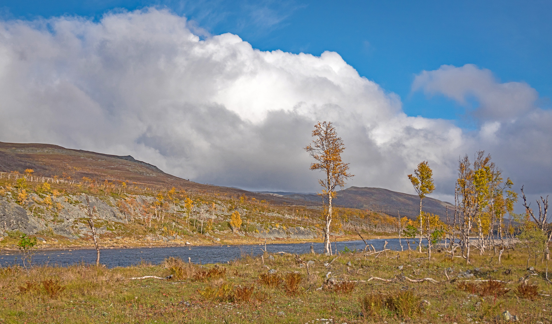 Rückblick auf den Herbst