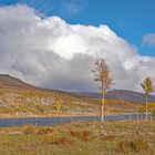 Rückblick auf den Herbst