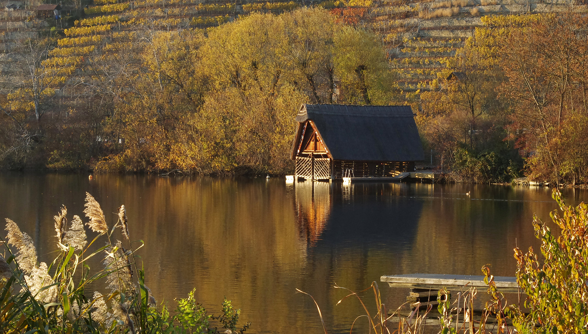 Rückblick auf den Herbst 2018