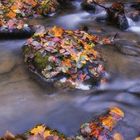 Rückblick auf den Herbst