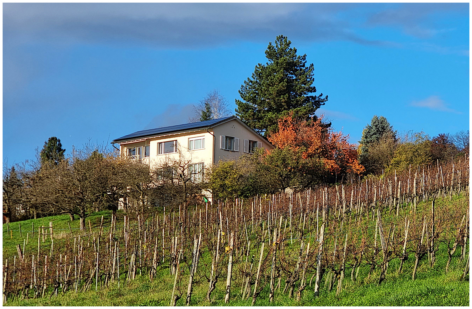 Rückblick auf den Herbst