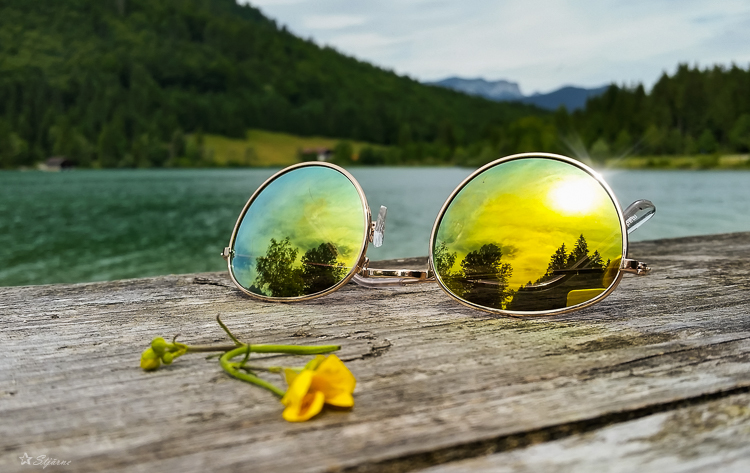 Rückblick auf den Sommer ...