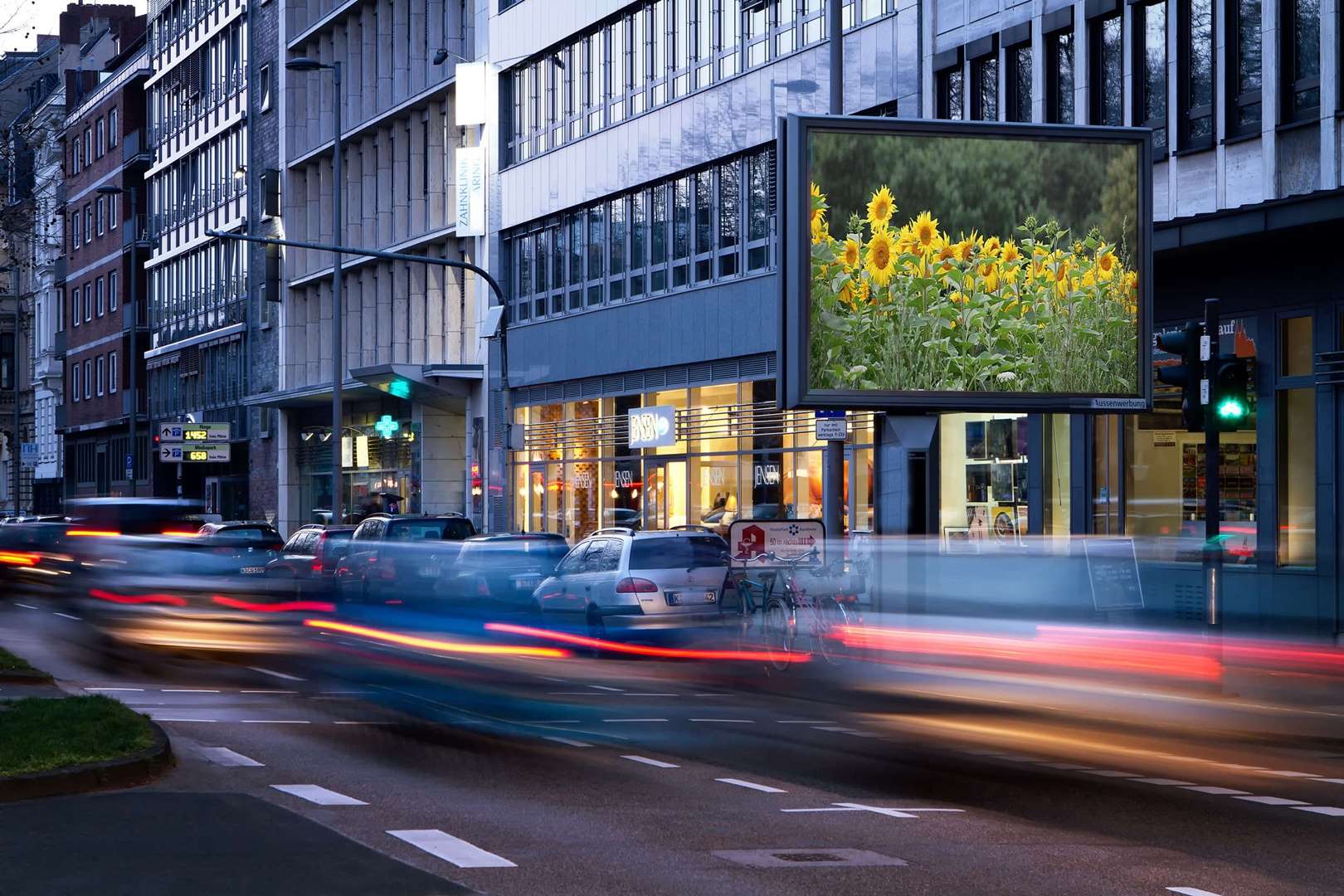 Rückblick auf den Sommer