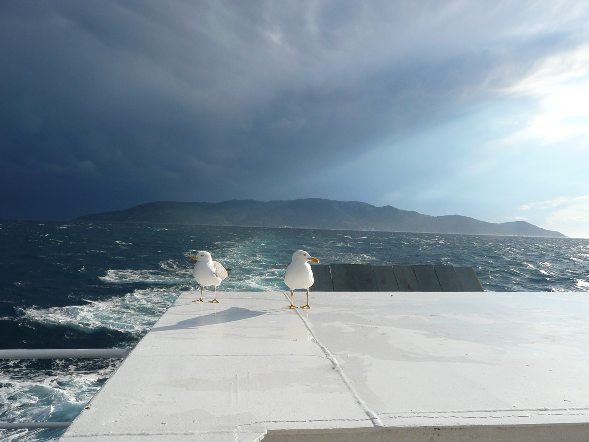 Rückblick auf die Isola del Giglio