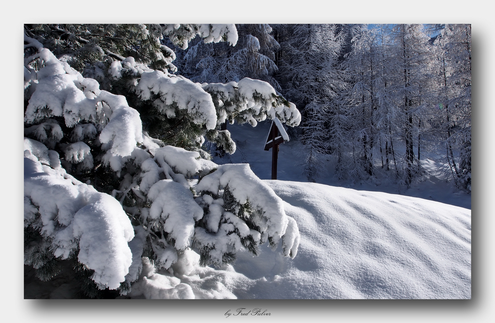 Rückblick auf einen schönen Wintertag 