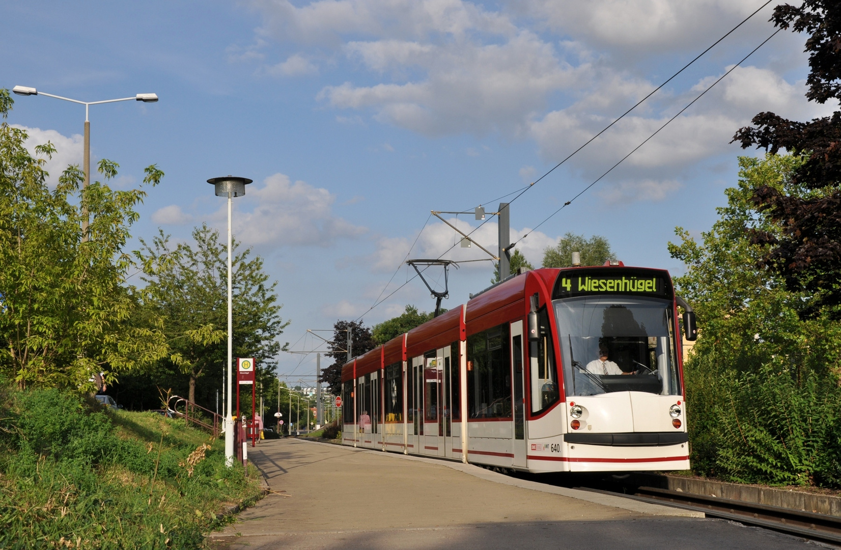 Rückblick aufn Sommer