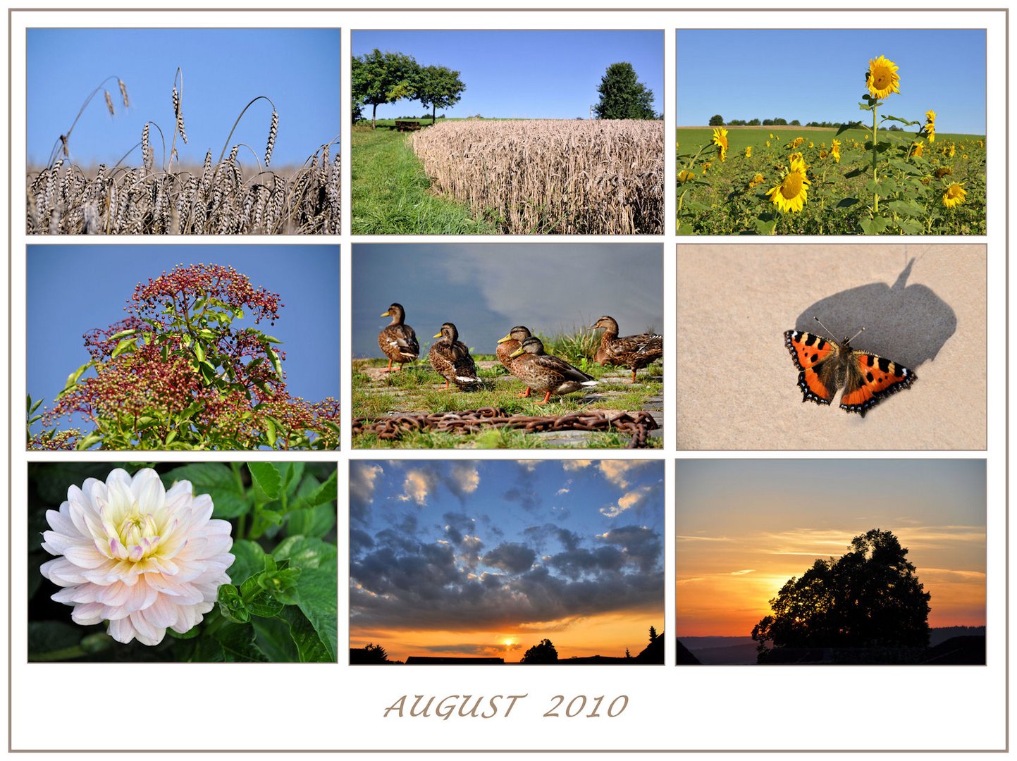 Rückblick August 2010