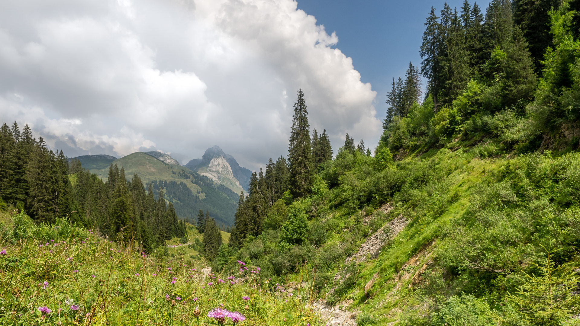 Rückblick