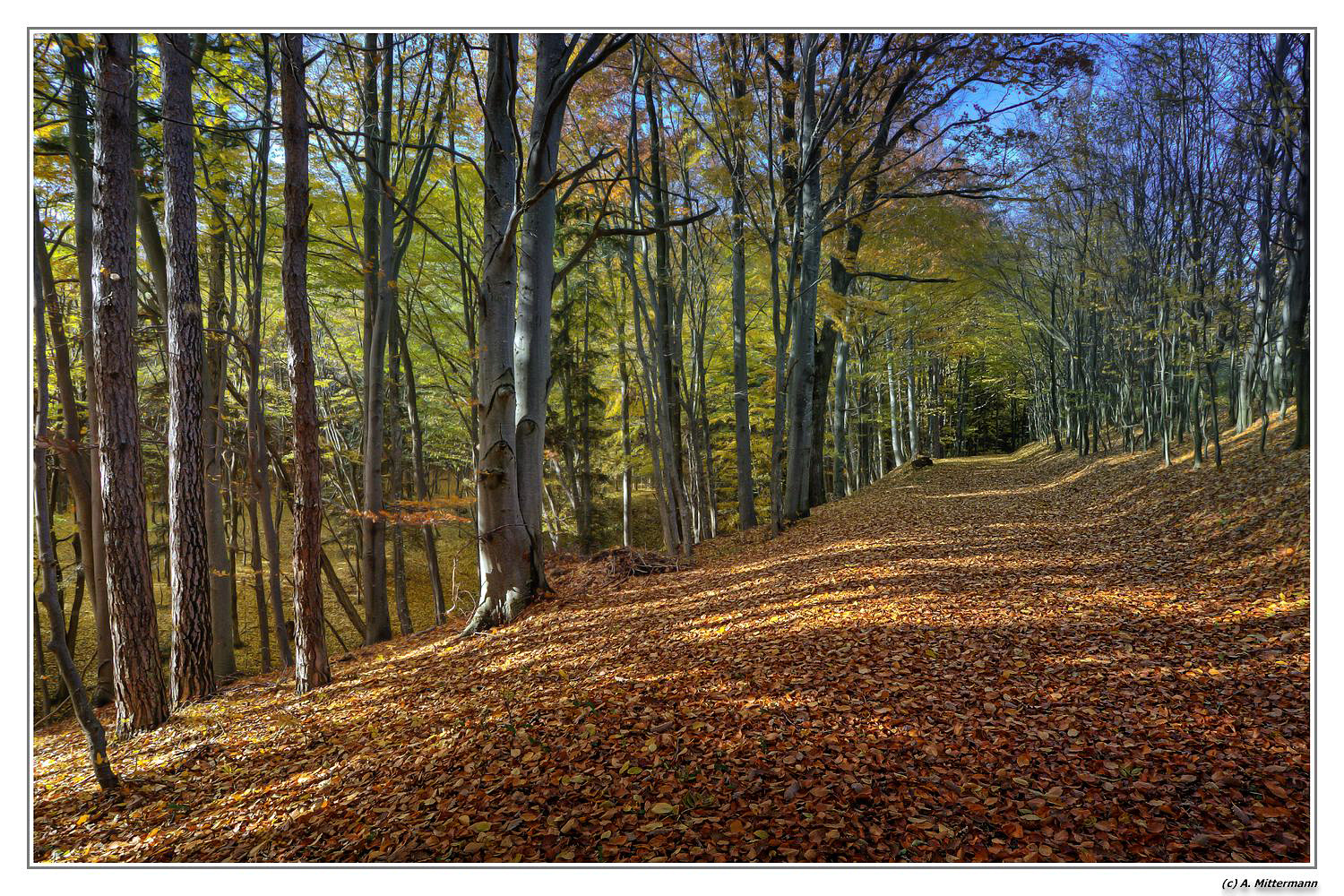 Rückblick