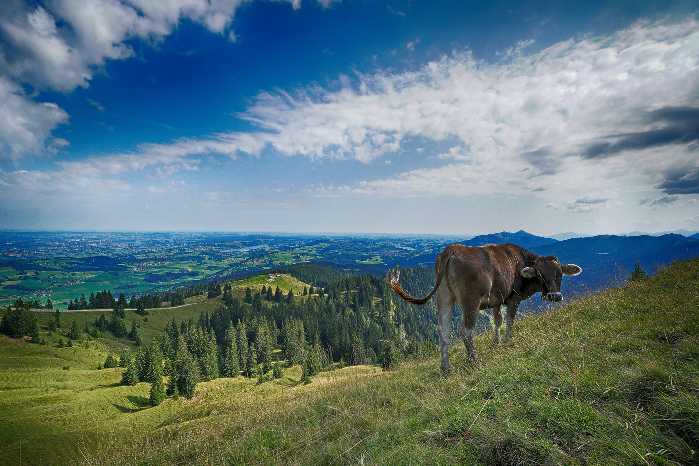 " RückBlick "