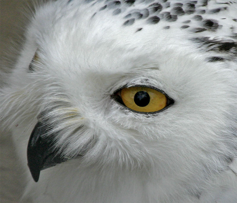 Rückblick