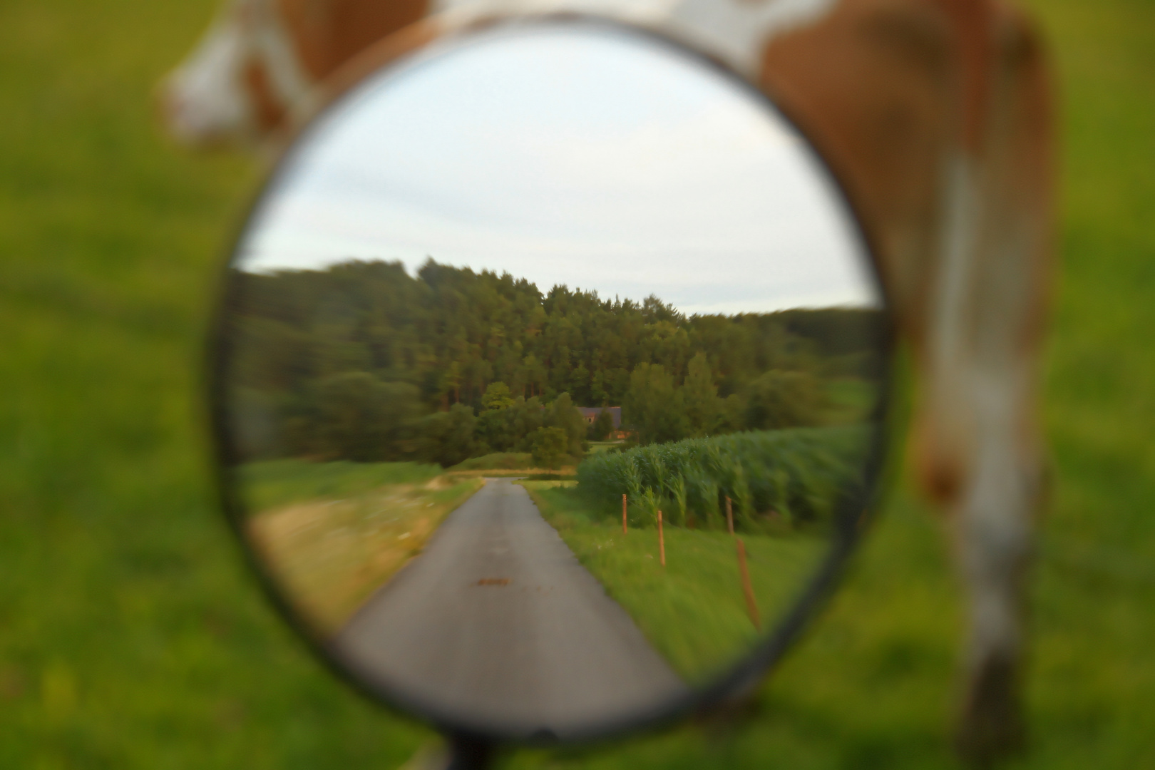 rückblick...