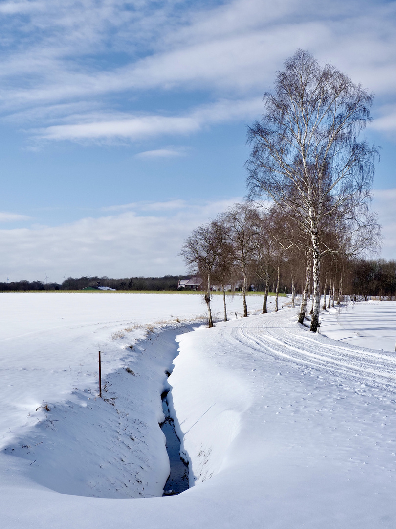 Rückblick Februar 2021  VIII