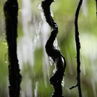 Rückblick - Hinter dem Wasserfall