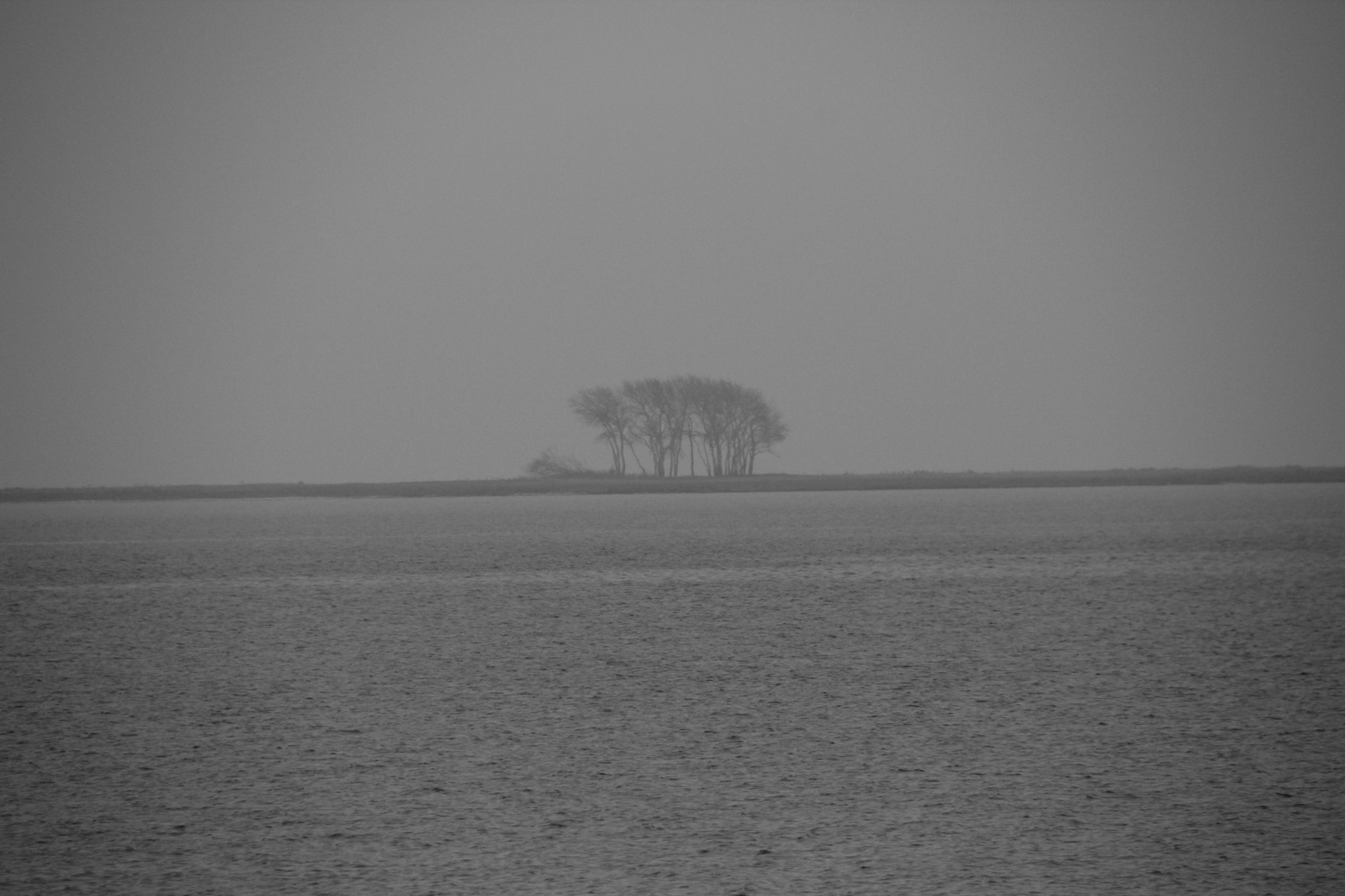 Rückblick in den November