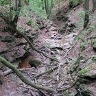 Rückblick in die Margarethenschlucht - Neckarsteig 