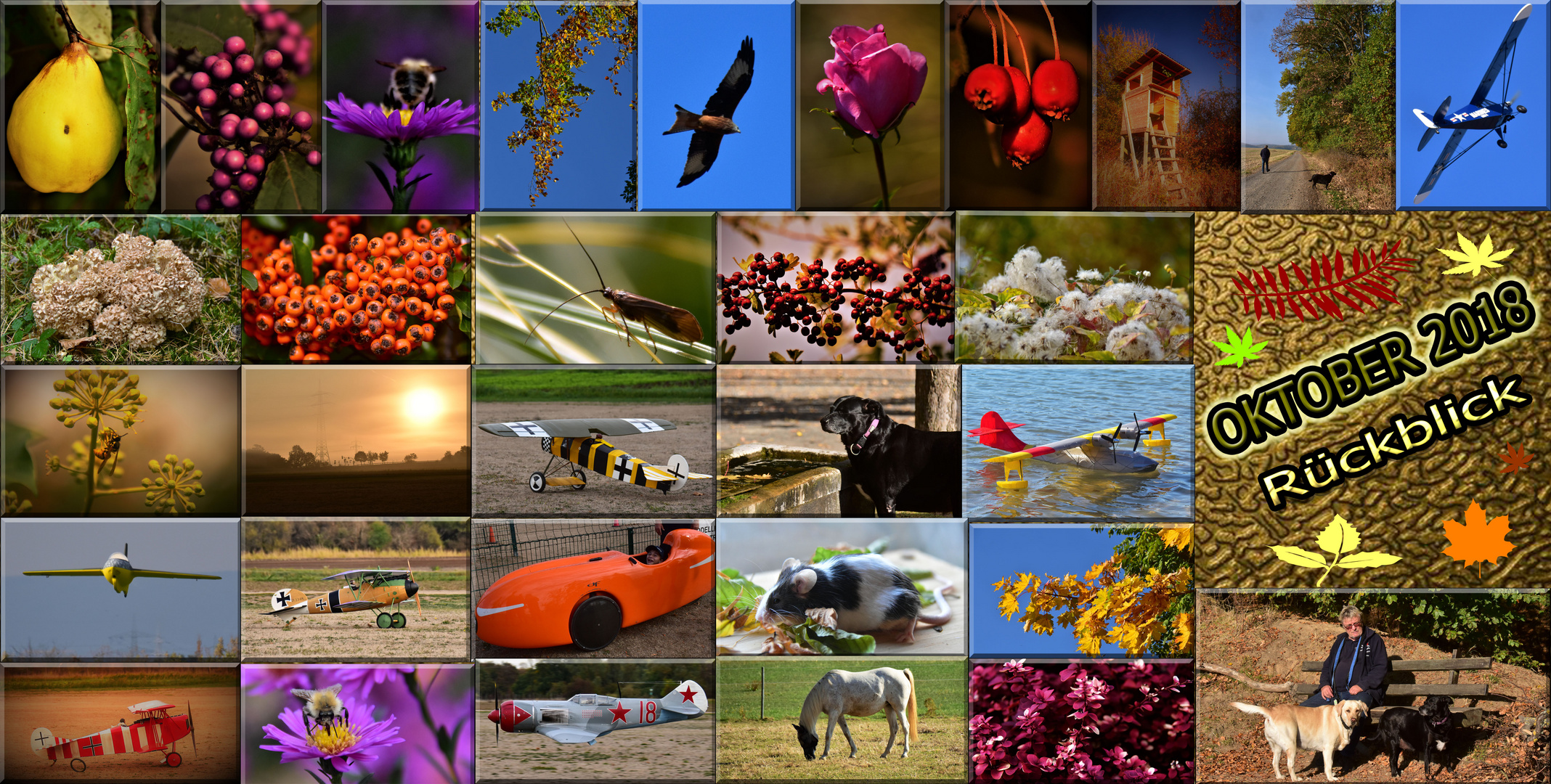Rückblick Oktober 2018 Foto & Bild  reportage dokumentation, karten 