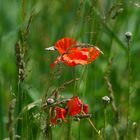 Rückblick Sommer 2023 - ROT