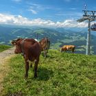 Rückblick vor einem Jahr auf der Hohen Salve