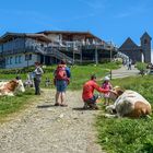 Rückblick vor einem Jahr auf der Hohen Salve