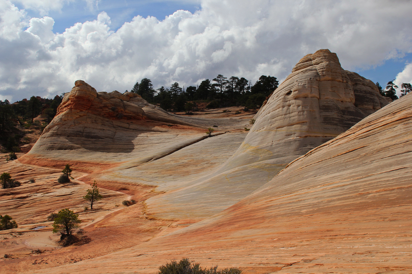 Rückblick: White Domes "bei" Hildale/Utah