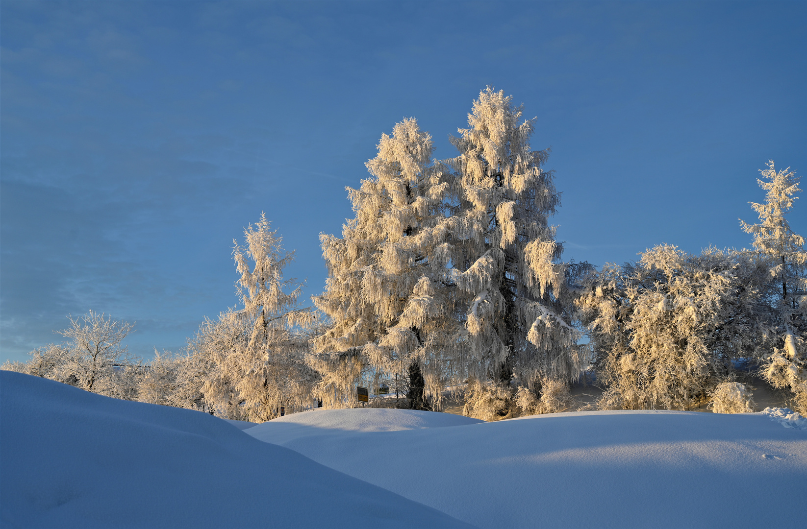 Rückblick Winter 2019