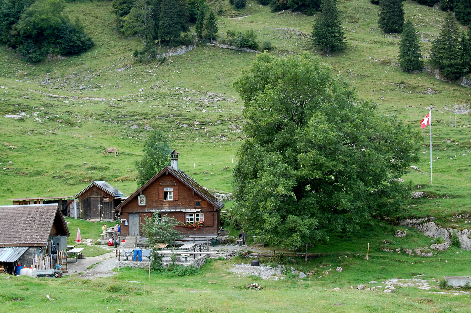 Rückblick zur Bommenalp (Alpsteingebiet)