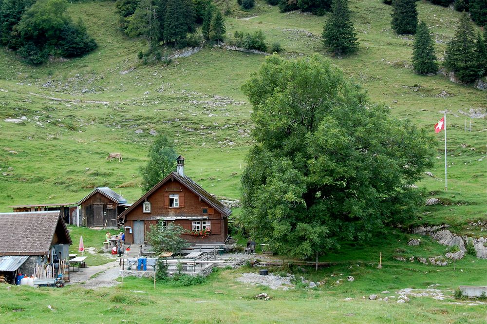 Rückblick zur Bommenalp (Alpsteingebiet)